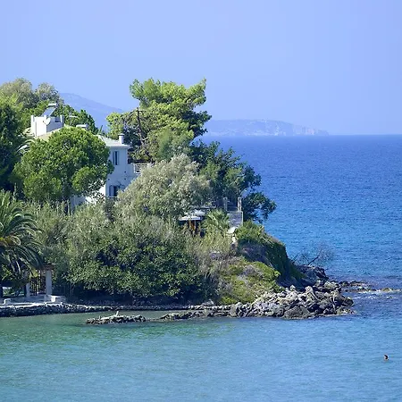 Paradisso *